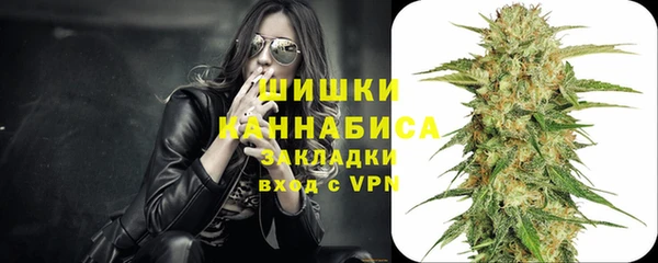 прущие грибы Алзамай