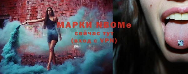 прущие грибы Алзамай