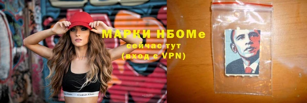 прущие грибы Алзамай