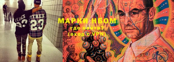 прущие грибы Алзамай