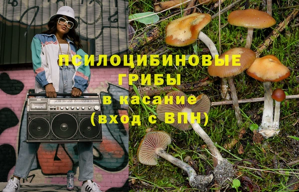 хмурый Алексеевка