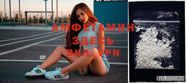 прущие грибы Алзамай