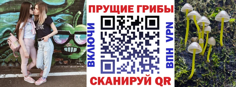 где купить наркотик  Чапаевск  блэк спрут   Галлюциногенные грибы Magic Shrooms 