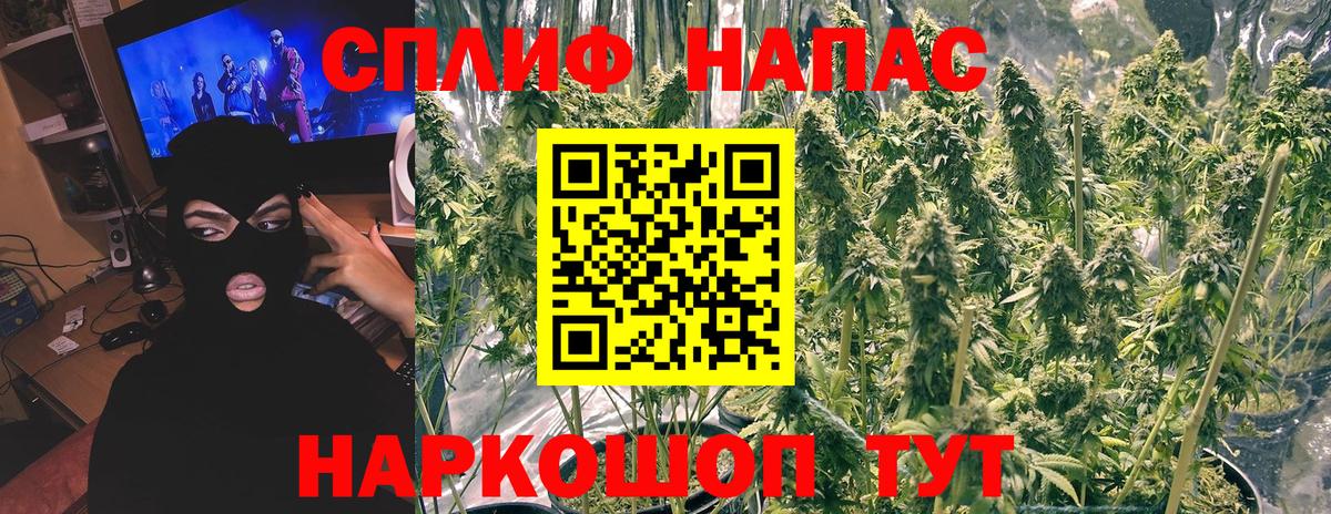 Конопля гибрид Чапаевск